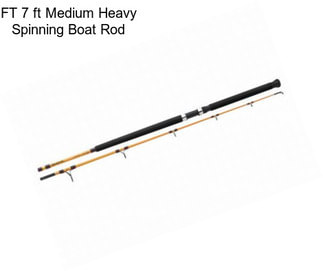 FT 7 ft Medium Heavy Spinning Boat Rod