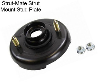 Strut-Mate Strut Mount Stud Plate