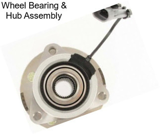 Wheel Bearing & Hub Assembly