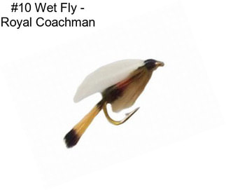 #10 Wet Fly - Royal Coachman