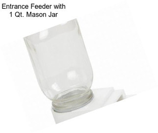 Entrance Feeder with 1 Qt. Mason Jar