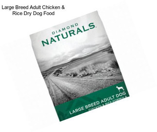 Large Breed Adult Chicken & Rice Dry Dog Food