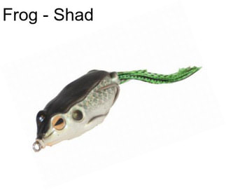 Frog - Shad