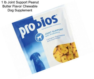 1 lb Joint Support Peanut Butter Flavor Chewable Dog Supplement