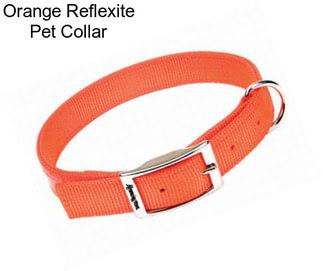 Orange Reflexite Pet Collar