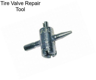 Tire Valve Repair Tool