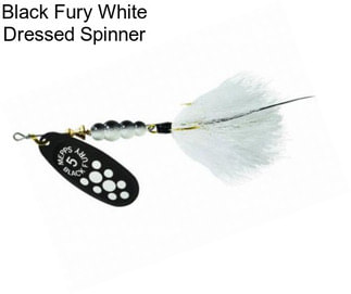 Black Fury White Dressed Spinner