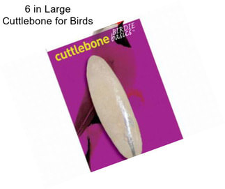 6 in Large Cuttlebone for Birds