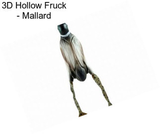 3D Hollow Fruck - Mallard