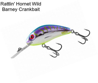 Rattlin\' Hornet Wild Barney Crankbait