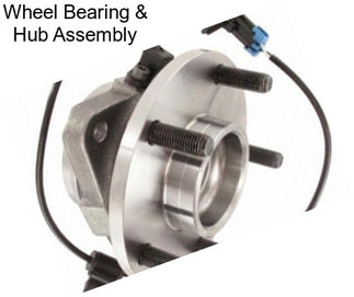 Wheel Bearing & Hub Assembly