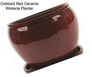 Oxblood Red Ceramic Wisteria Planter