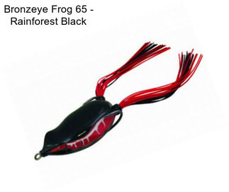 Bronzeye Frog 65 - Rainforest Black