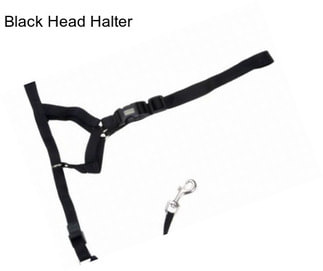 Black Head Halter