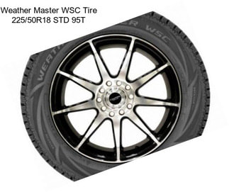 Weather Master WSC Tire 225/50R18 STD 95T
