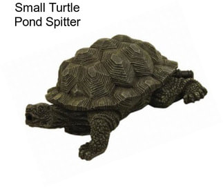 Small Turtle Pond Spitter