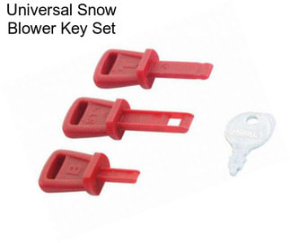 Universal Snow Blower Key Set