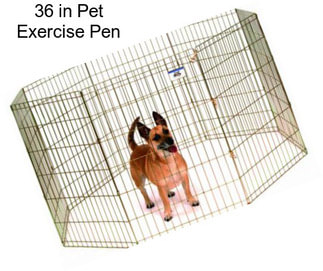 36 in Pet Exercise Pen