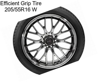 Efficient Grip Tire 205/55R16 W