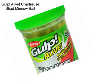 Gulp! Alive! Chartreuse Shad Minnow Bait