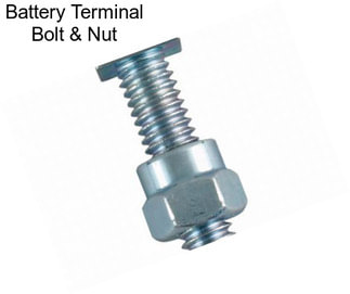 Battery Terminal Bolt & Nut