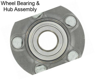 Wheel Bearing & Hub Assembly