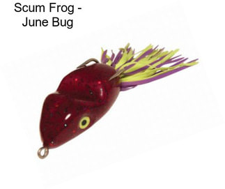 Scum Frog - June Bug