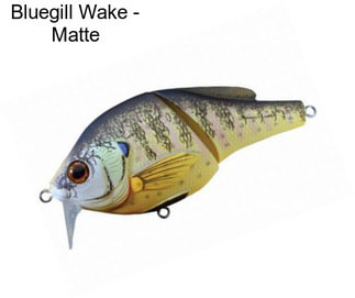 Bluegill Wake - Matte