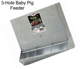 3-Hole Baby Pig Feeder