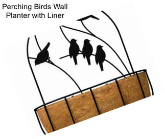 Perching Birds Wall Planter with Liner