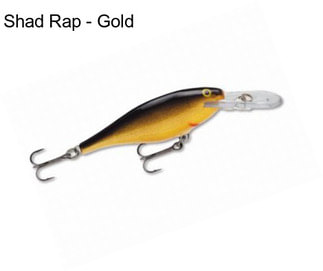 Shad Rap - Gold