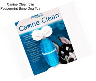 Canine Clean 5 in Peppermint Bone Dog Toy