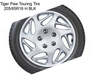 Tiger Paw Touring Tire 205/65R16 H BLK