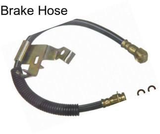 Brake Hose