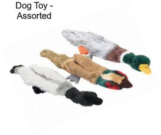 Dog Toy - Assorted