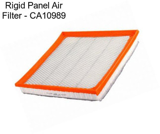 Rigid Panel Air Filter - CA10989