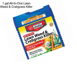 1 gal All-In-One Lawn Weed & Crabgrass Killer