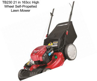 TB230 21 in 163cc High Wheel Self-Propelled Lawn Mower