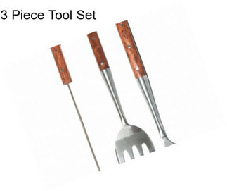 3 Piece Tool Set