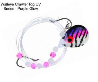 Walleye Crawler Rig UV Series - Purple Glow