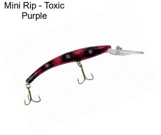 Mini Rip - Toxic Purple