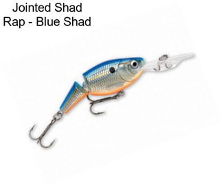 Jointed Shad Rap - Blue Shad