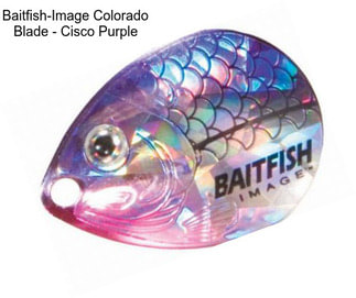 Baitfish-Image Colorado Blade - Cisco Purple