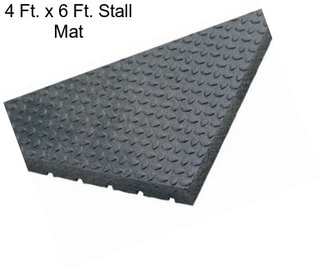 4 Ft. x 6 Ft. Stall Mat