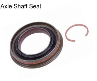 Axle Shaft Seal