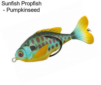Sunfish Propfish - Pumpkinseed