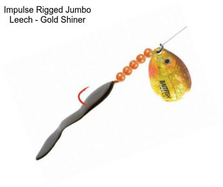Impulse Rigged Jumbo Leech - Gold Shiner