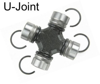 U-Joint