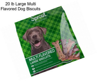 20 lb Large Multi Flavored Dog Biscuits