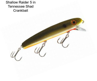 Shallow Raider 5 in Tennessee Shad Crankbait